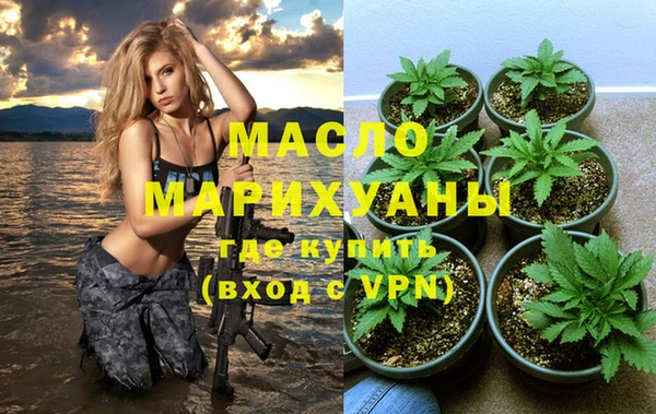 сатива Бородино