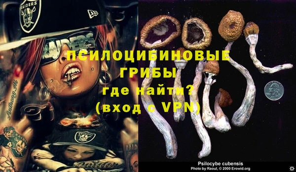 прущие грибы Богородск