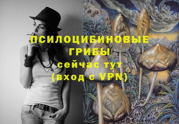 прущие грибы Богородск