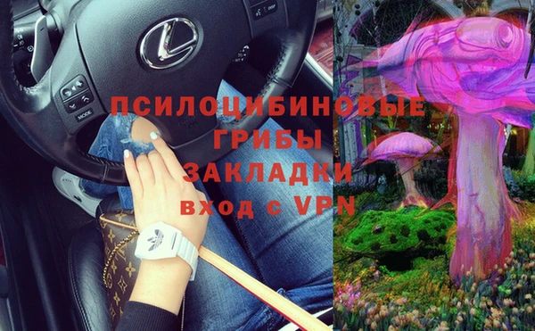 прущие грибы Богородск