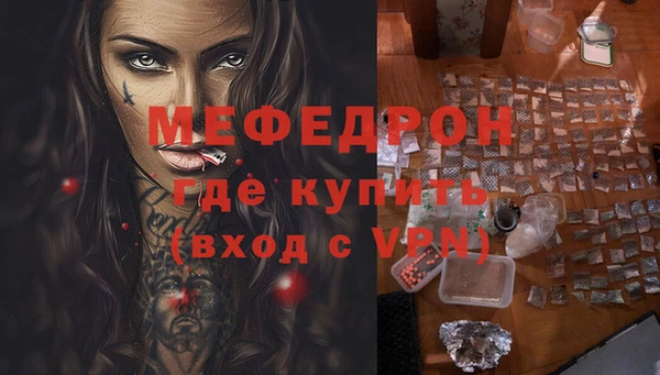 сатива Бородино