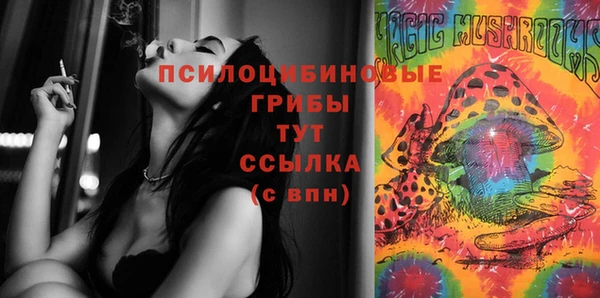 прущие грибы Богородск