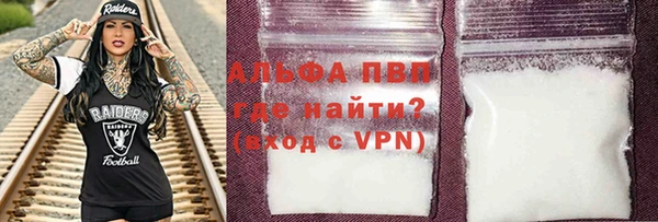 прущие грибы Богородск