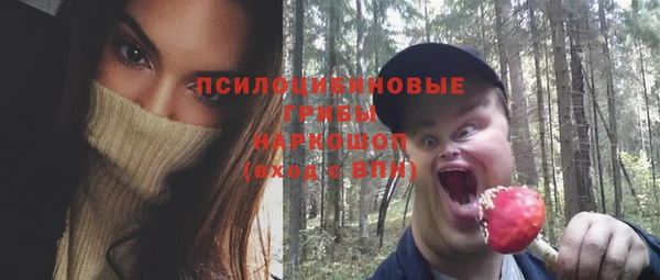 сатива Бородино