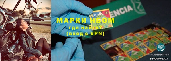 прущие грибы Богородск